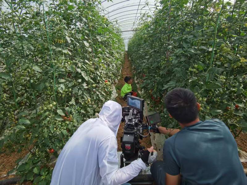 高明区产品宣传视频拍摄公司进阶指南，助力品牌抢占传播高地